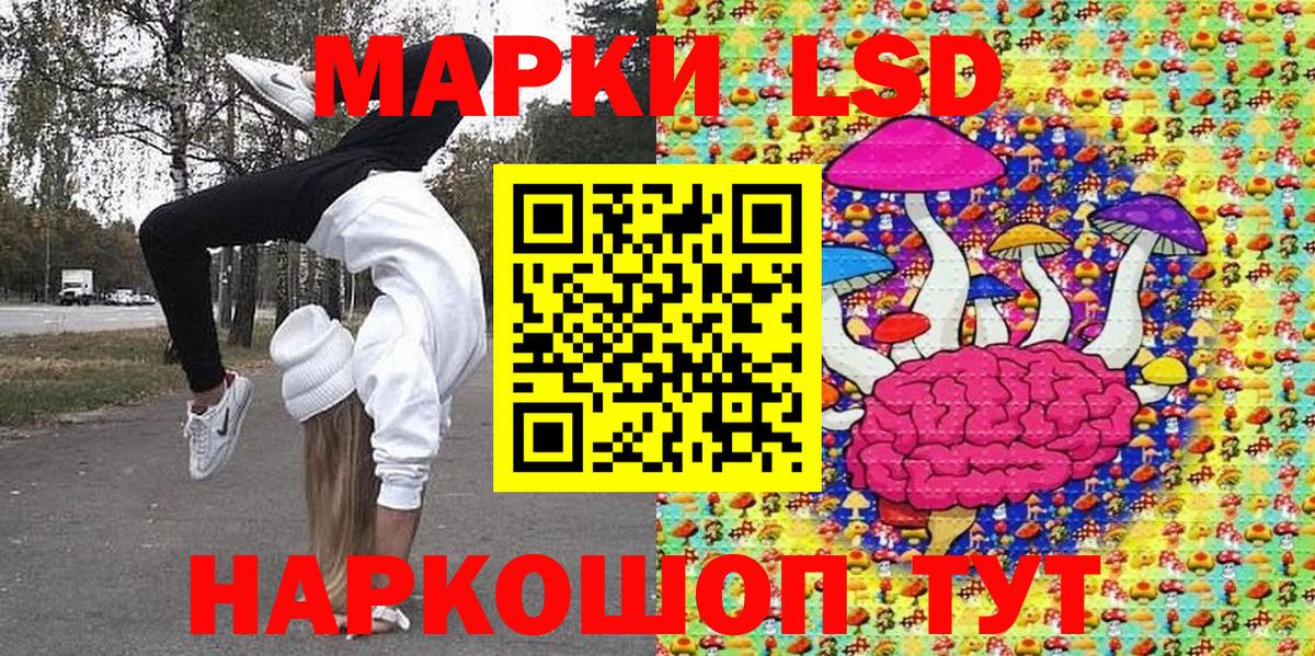 Галлюциногенные грибы Белгород
