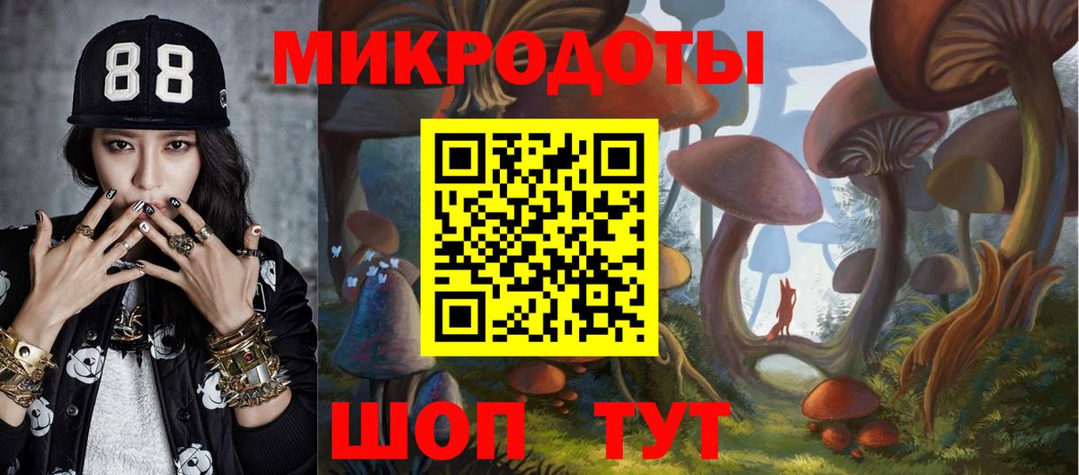 Псилоцибиновые грибы Psilocybe  Вход с VPN  Белгород  Псилоцибиновые грибы Psilocybe 