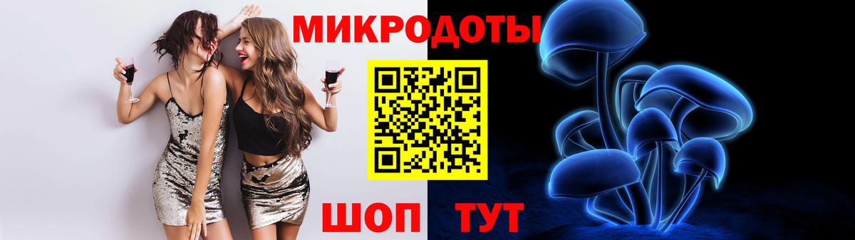 Галлюциногенные грибы Psilocybe Белгород