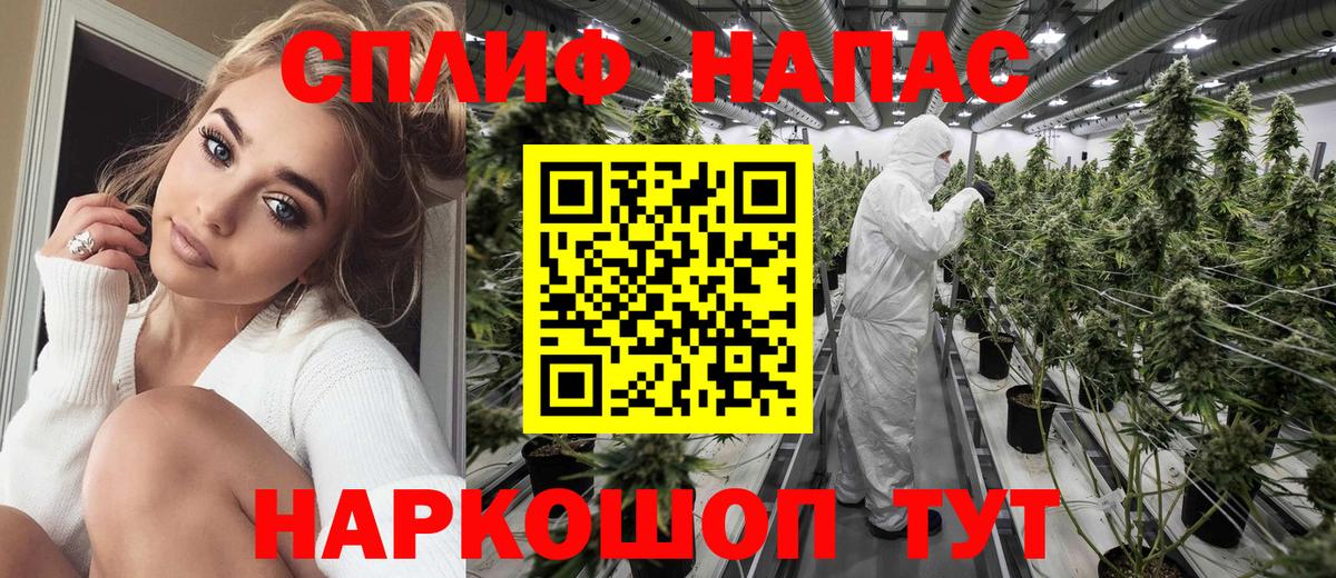 Конопля конопля Белгород